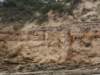 anglesea10_small.jpg