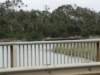 anglesea4_small.jpg