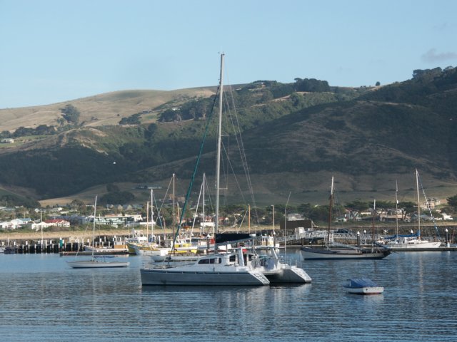 apollobay8.jpg