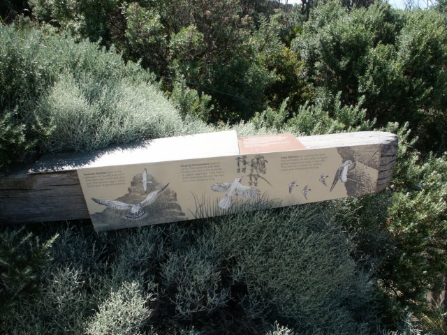 apostlestrack5.jpg