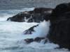 capebridgewaterblowholes9_small.jpg