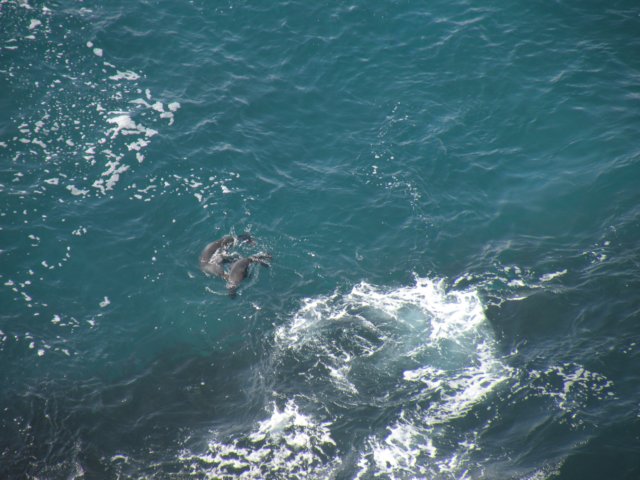 capebridgewaterwalk23.jpg