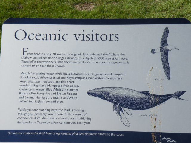 capebridgewaterwalk28.jpg