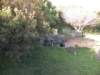 capeotway9_small.jpg