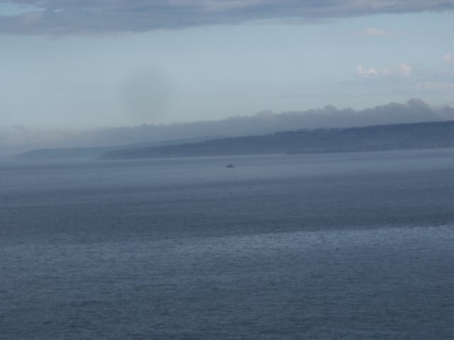 capepaton5.jpg