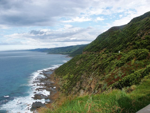 capepaton5.jpg