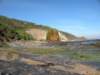 greatoceanwalkandrainbowfalls18_small.jpg
