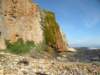greatoceanwalkandrainbowfalls20_small.jpg