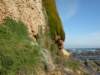 greatoceanwalkandrainbowfalls21_small.jpg