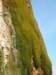 greatoceanwalkandrainbowfalls23_small.jpg