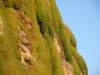 greatoceanwalkandrainbowfalls26_small.jpg