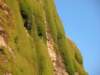 greatoceanwalkandrainbowfalls27_small.jpg