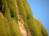 greatoceanwalkandrainbowfalls28_small.jpg