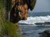 greatoceanwalkandrainbowfalls29_small.jpg