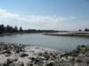 griffithisland4_small.jpg