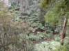 littleairefalls18_small.jpg