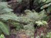 littleairefalls21_small.jpg