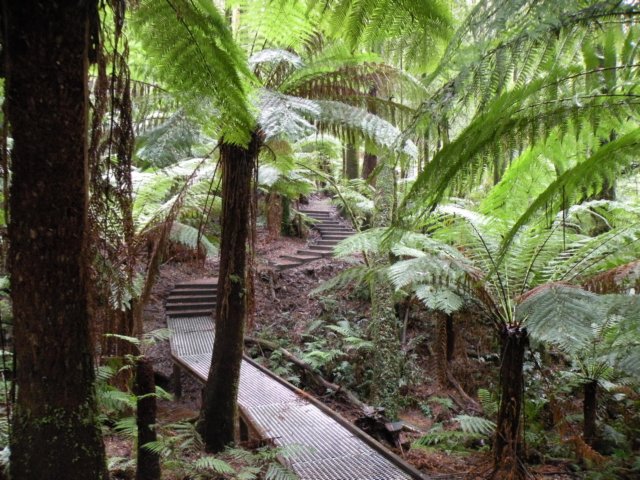 littleairefalls3.jpg