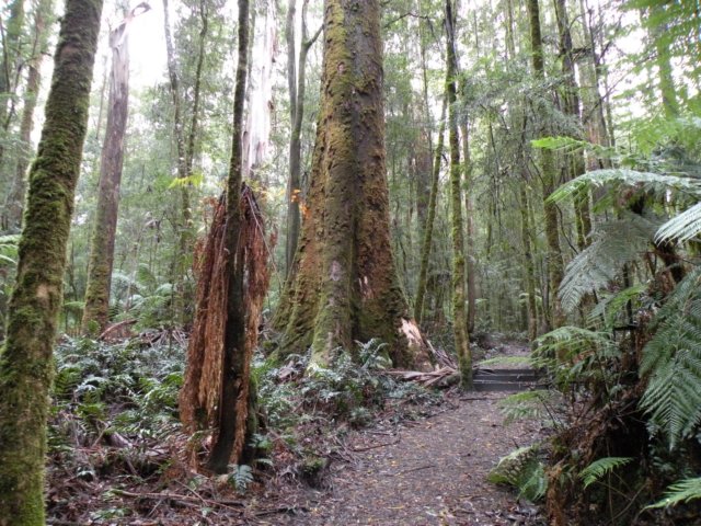 littleairefalls5.jpg