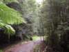 littleairefalls7_small.jpg