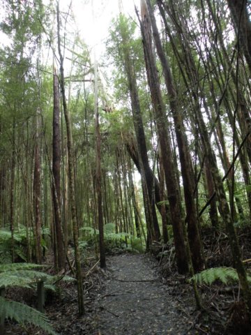 littleairefalls9.jpg
