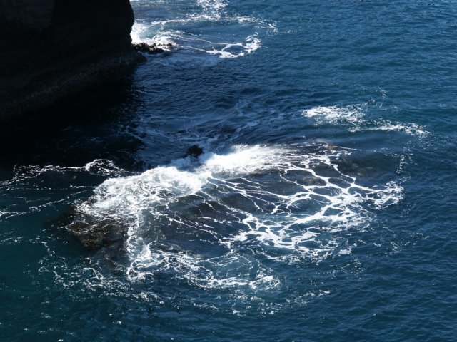 muttonbirdislandlookout6.jpg