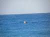 dscn2067a_small.jpg