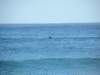 dscn2107a_small.jpg