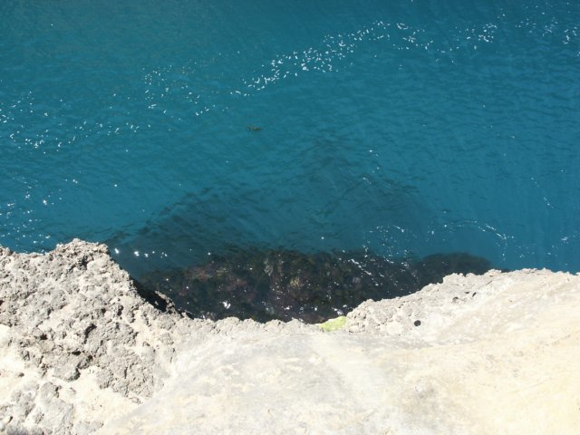 thundercaveandblowhole11.jpg