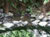 hopetounfalls10_small.jpg