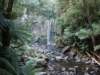 hopetounfalls12_small.jpg
