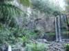 hopetounfalls15_small.jpg