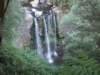hopetounfalls3_small.jpg
