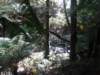 tripletfalls13_small.jpg