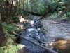 tripletfalls14_small.jpg