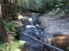 tripletfalls15_small.jpg