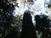 tripletfalls16_small.jpg