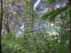 tripletfalls17_small.jpg