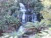 tripletfalls20_small.jpg