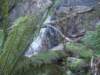 tripletfalls23_small.jpg