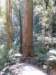 tripletfalls24_small.jpg