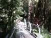 tripletfalls6_small.jpg