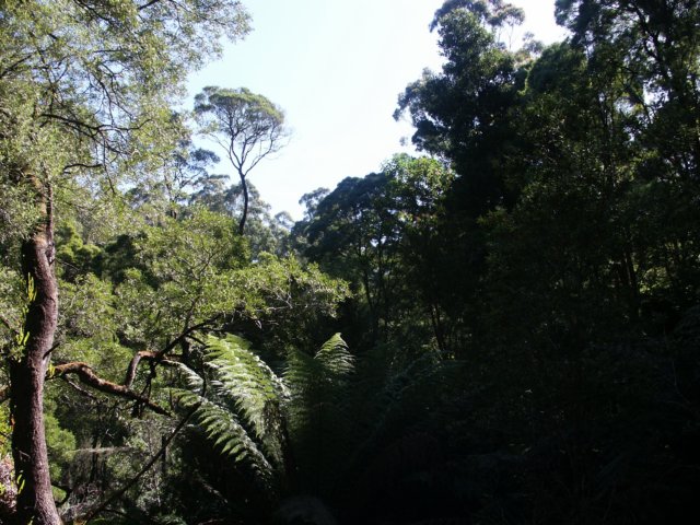 tripletfalls8.jpg