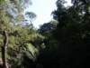 tripletfalls8_small.jpg