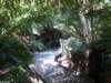 tripletfalls9_small.jpg